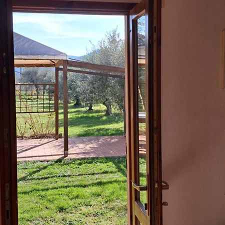 Villetta 3 Km Dal Mare Castagneto Carducci Eksteriør billede